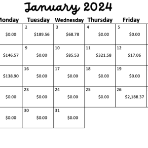Nurodivergent BCBA Budget